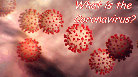 What is the Coronavirus